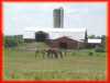 Mussleman Landscape4